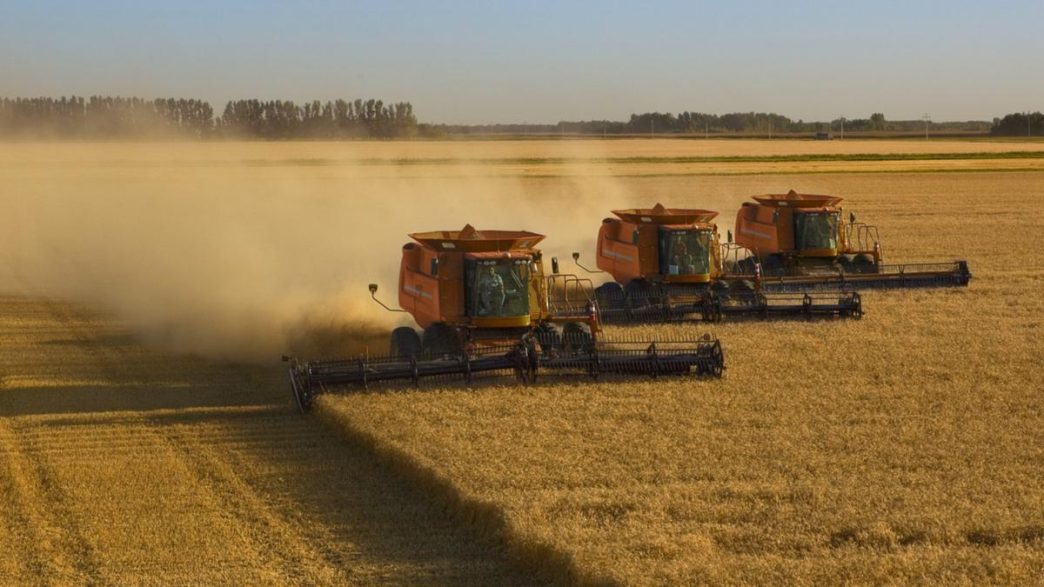 Australian wheat causing US ‘national security’ issues, with Donald Trump urged to impose tariffs