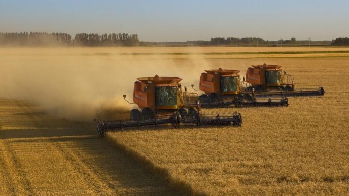 Australian wheat causing US ‘national security’ issues, with Donald Trump urged to impose tariffs