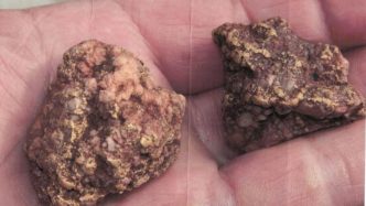 Big-name neighbours spur BMG to fast-track WA gold
