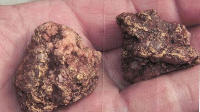 Big-name neighbours spur BMG to fast-track WA gold