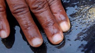 Mali Government backs Toubani gold project