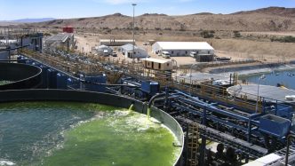Shares down the drain as Paladin Energy pulls