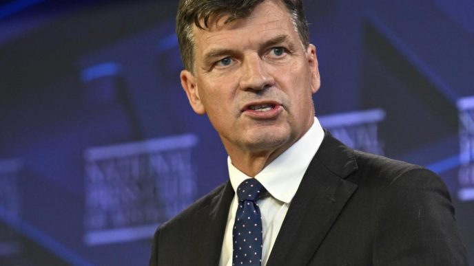 Angus Taylor praises Elon Musk, confirms spending
