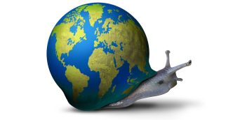 Global growth slowing
