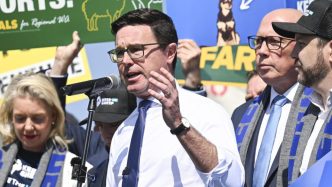 Federal Election 2025: David Littleproud vows