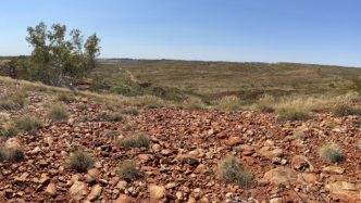 GreenTech and Artemis forge blockbuster Pilbara