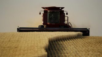 Indonesia to increase US imports and lower other