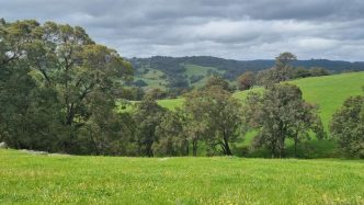Kula revs up South West Mustang project with a