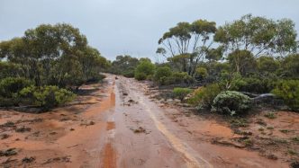 McLaren wraps up drill program ahead of WA