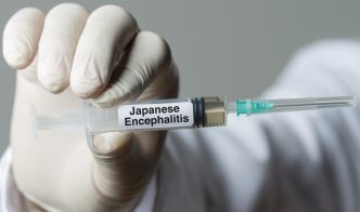 NSW further expands free access to Japanese