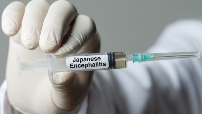 NSW further expands free access to Japanese