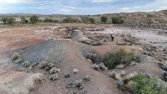 Novo to probe high grade NSW gold targets