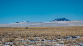 Plot thickens as Xanadu axes Mongolian copper-gold
