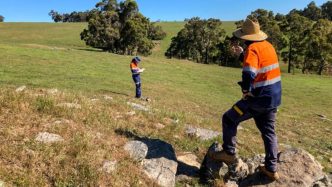Rock chip finds sharpen Kula South West gold