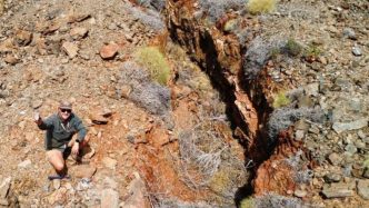 Taruga taps Adriatic brains trust for WA