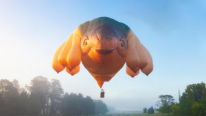 What’s On: Your guide to events around Albany and