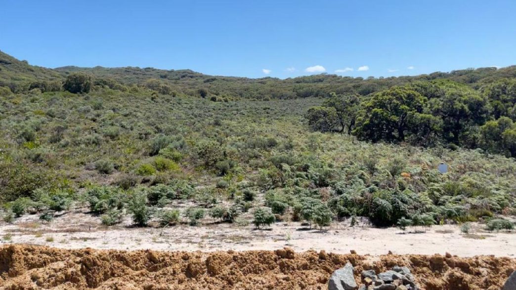 Albany council refuses to extend Nullaki lime pit
