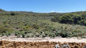 Albany council refuses to extend Nullaki lime pit