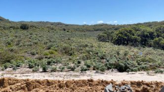 Albany council refuses to extend Nullaki lime pit