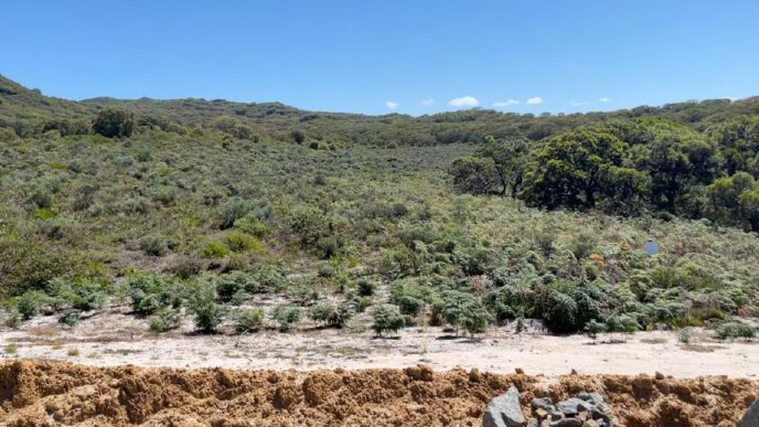 Albany council refuses to extend Nullaki lime pit