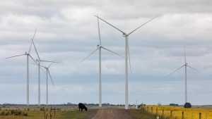 Australia’s first commercial wind farm set to be