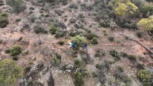 Dynamic identifies new high-grade gold zone at