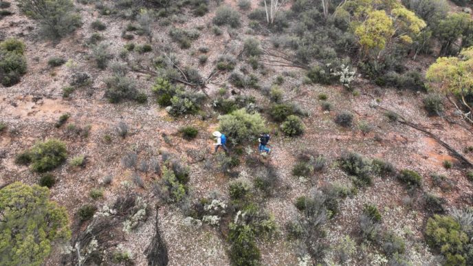 Dynamic identifies new high-grade gold zone at