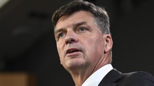 Federal Election 2025: Coalition promises billions