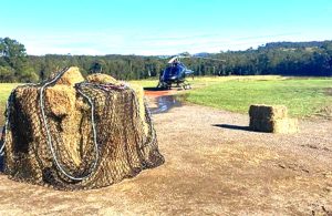 Fodder drops provide lifeline to flooded farmers