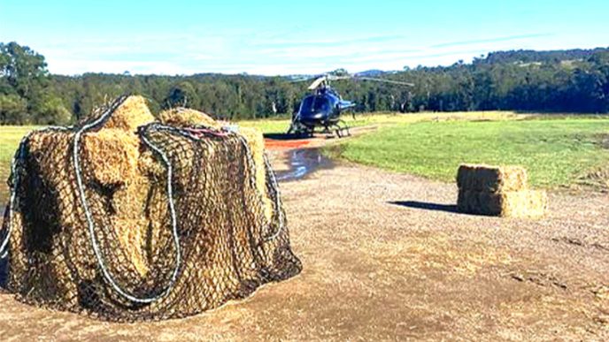 Fodder drops provide lifeline to flooded farmers