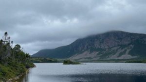 Infini unveils new CEO to drive uranium projects