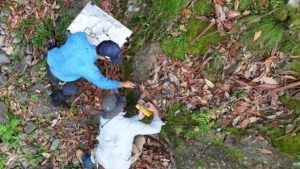 Novo field work extends high-grade mineralisation