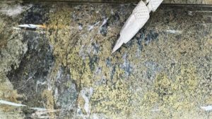 Strickland eyes Serbian gold-base metal resource