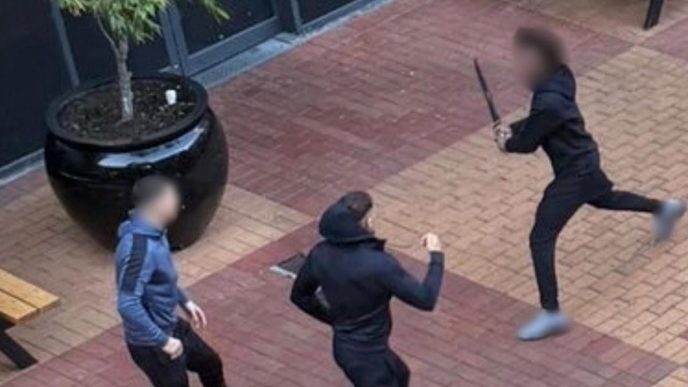 Amazon Australia removes machetes after landmark