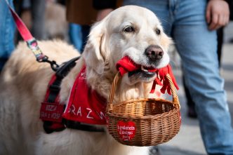 Analyst says popular pet-food company’s stock is