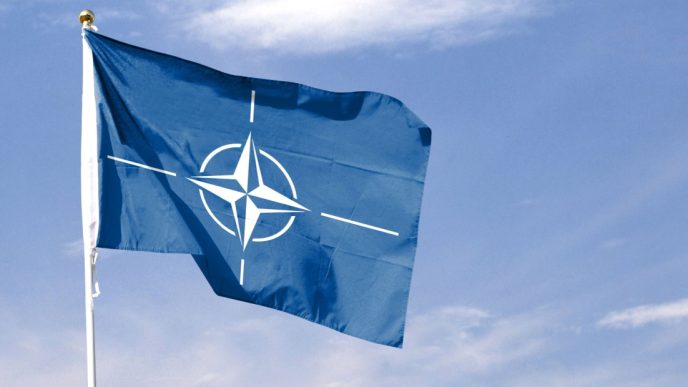 Cyber stocks surge as NATO commits to historic