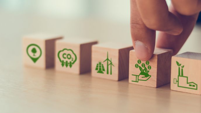 Green, sustainability bonds