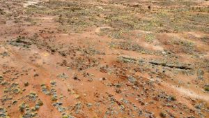 Taruga geochemistry strikes gold at Gascoyne
