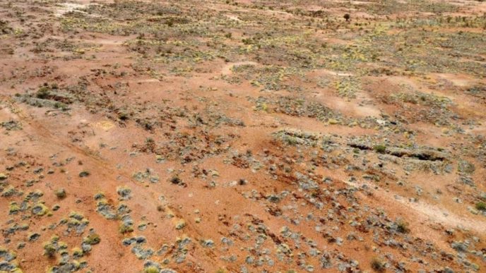 Taruga geochemistry strikes gold at Gascoyne