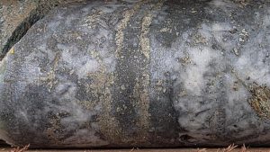 Aguia hits bonanza gold with first Colombian assay