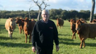 Albanese accused of selling out Australia’s strict