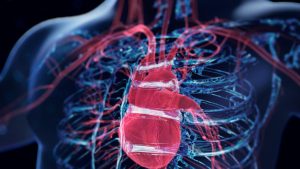 Cardiologist tips: 10 science-based ways to