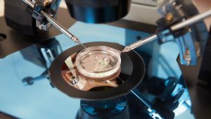 Genea data breach: Patient fury as IVF giant