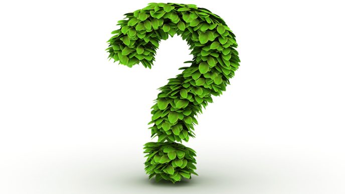Green leaves in the shape of a question mark