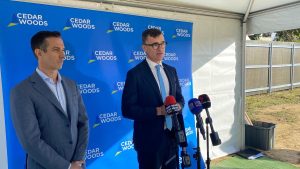Housing Minister Carey gaining confidence in