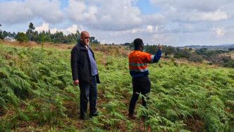 Kula Gold kicks off low-cost niobium exploration