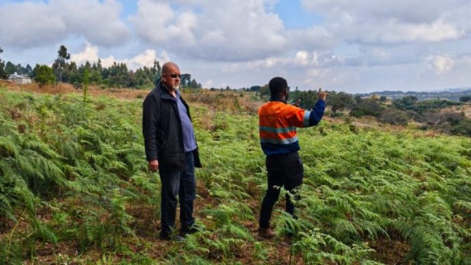 Kula Gold kicks off low-cost niobium exploration