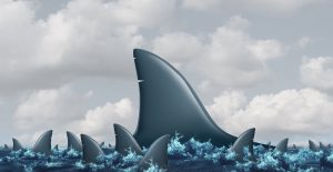 Big shark amid little sharks