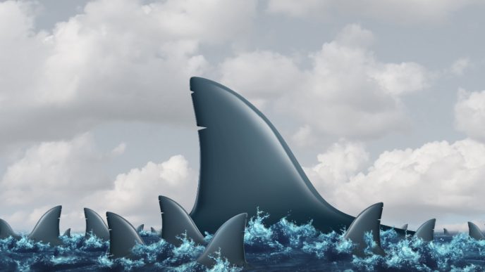 Big shark amid little sharks