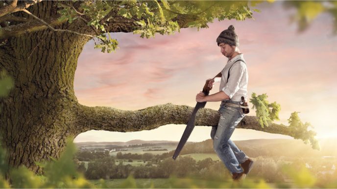 Man sitting on tree branch and sawing it off